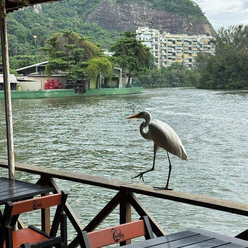 Maracujá da Ilha