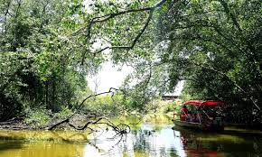 Pantanal Carioca - passeio de barco